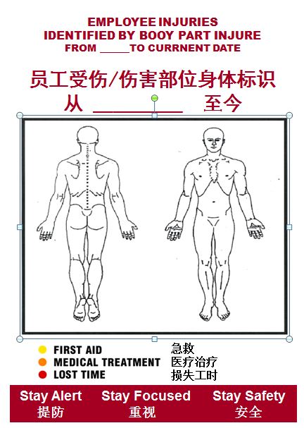 伤害部位身体标示图